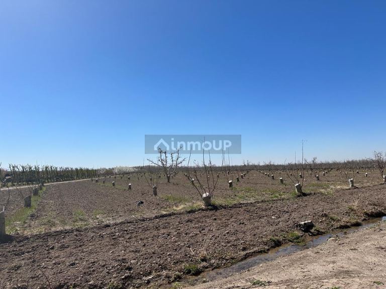 Finca en Venta en Tunuyan, Mendoza
