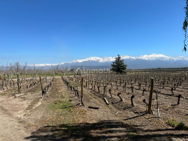 Finca en Venta en Tunuyan, Mendoza