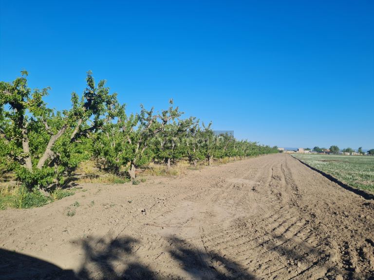 Finca en Venta en Tupungato, Mendoza