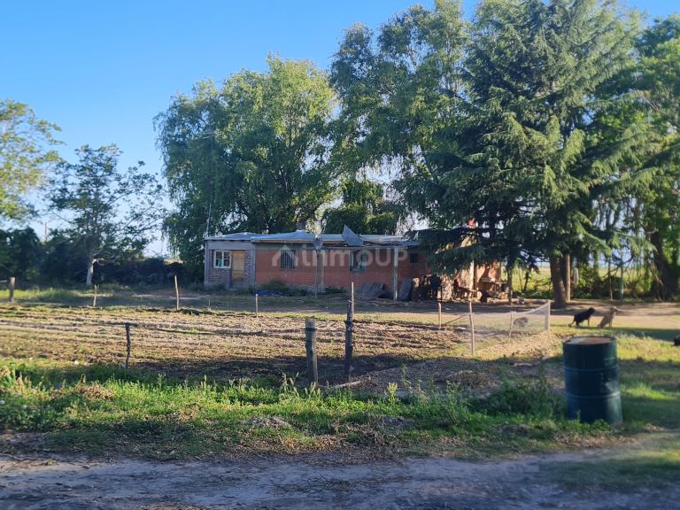 Finca en Venta en Tupungato, Mendoza