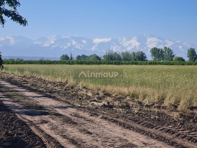 Finca en Venta en Tupungato, Mendoza