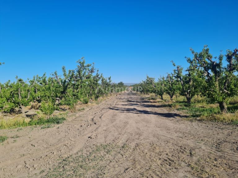 Finca en Venta en Tupungato, Mendoza