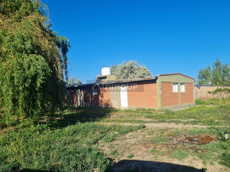 Finca en Venta en Tupungato, Mendoza