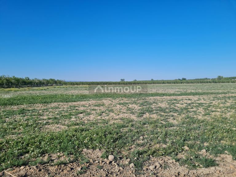 Finca en Venta en Tupungato, Mendoza