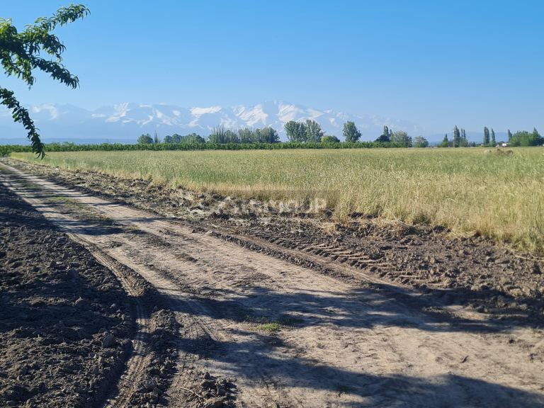 Finca en Venta en Tupungato, Mendoza