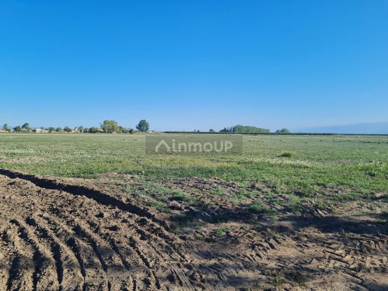 Finca en Venta en Tupungato, Mendoza