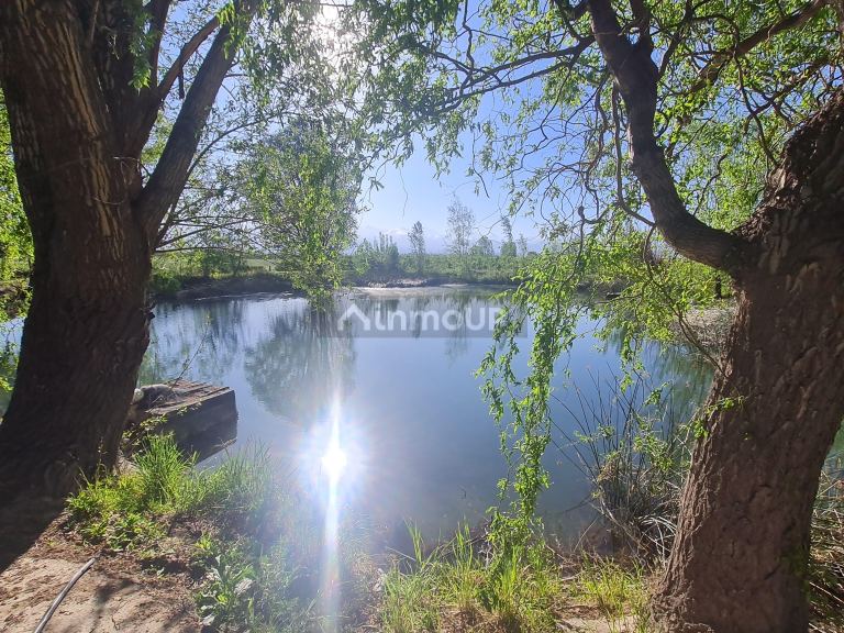 Finca en Venta en Tupungato, Mendoza