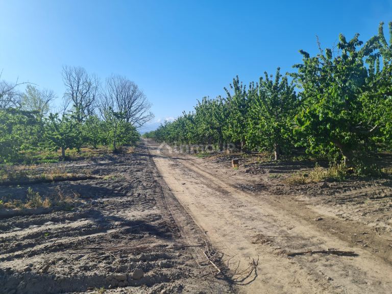 Finca en Venta en Tupungato, Mendoza