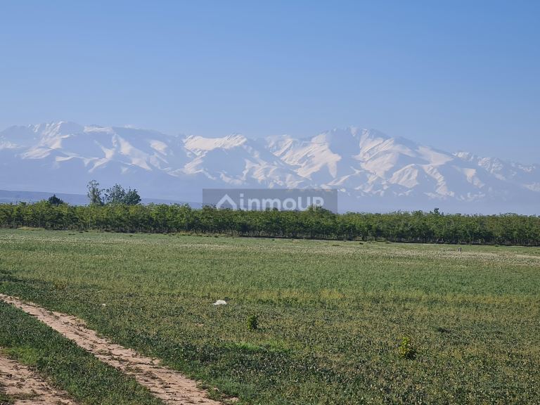 Finca en Venta en Tupungato, Mendoza