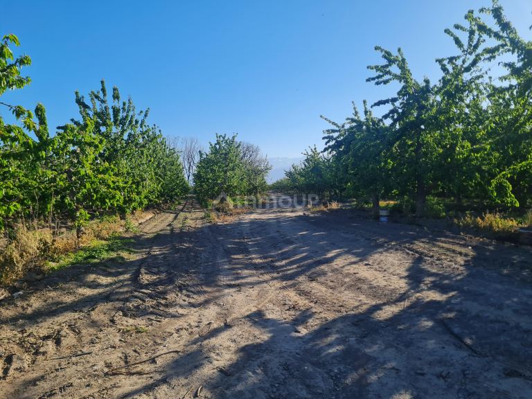 Finca en Venta en Tupungato, Mendoza