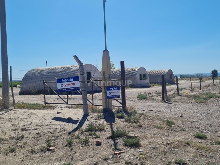 Finca en Venta en Lujan de Cuyo, Mendoza