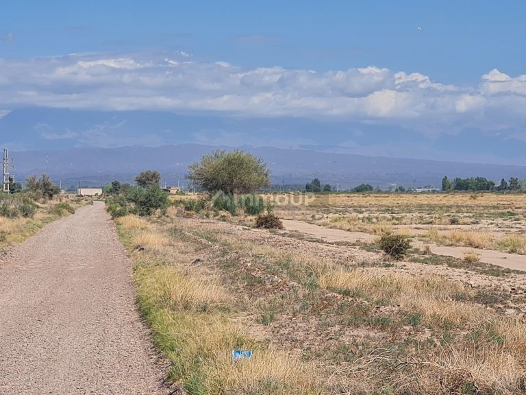 Finca en Venta en Lujan de Cuyo, Mendoza
