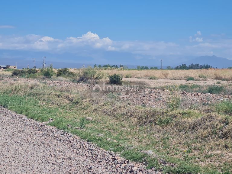 Finca en Venta en Lujan de Cuyo, Mendoza