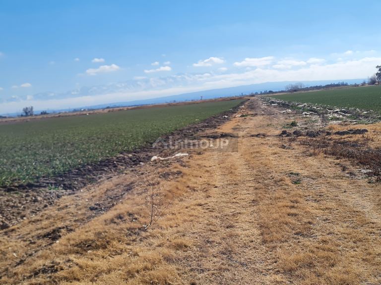 Finca en Venta en Lujan de Cuyo, Mendoza