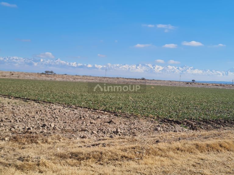 Finca en Venta en Lujan de Cuyo, Mendoza