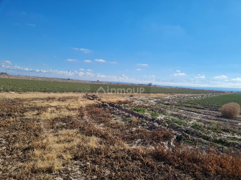 Finca en Venta en Lujan de Cuyo, Mendoza