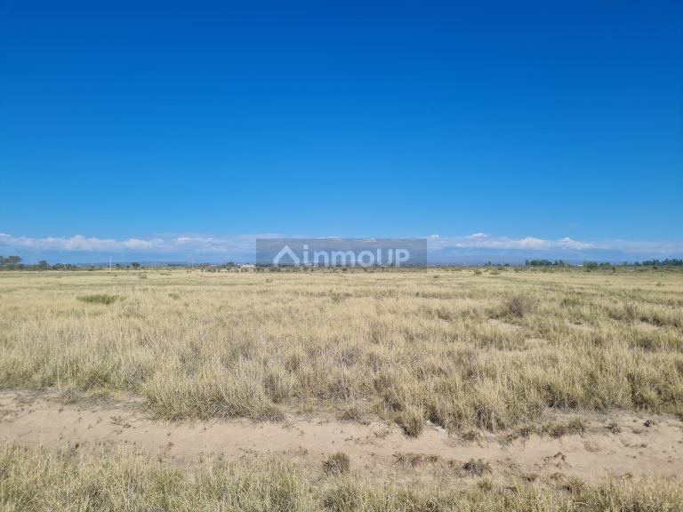 Finca en Venta en Lujan de Cuyo, Mendoza