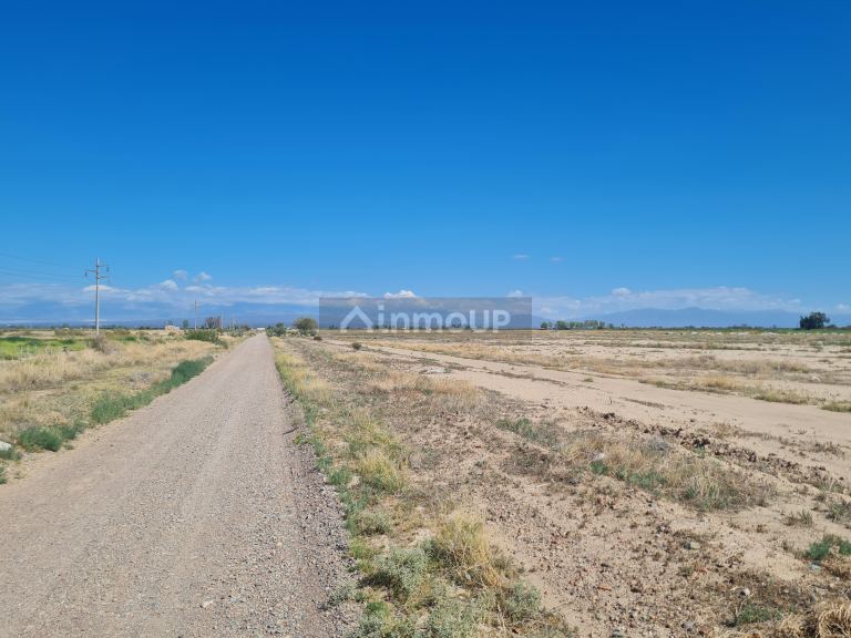 Finca en Venta en Lujan de Cuyo, Mendoza