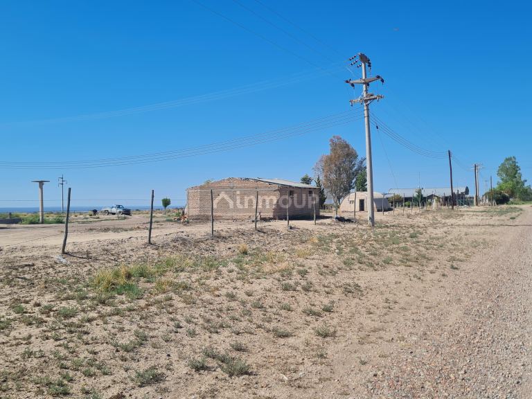 Finca en Venta en Lujan de Cuyo, Mendoza