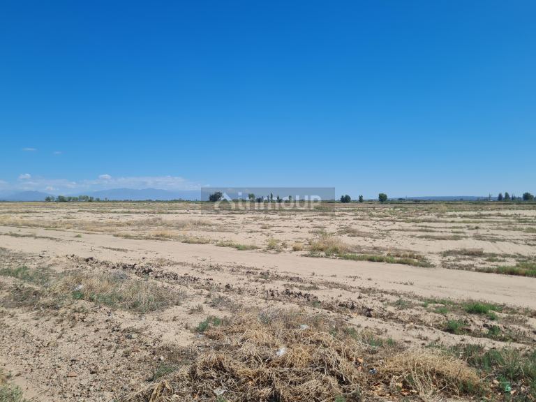 Finca en Venta en Lujan de Cuyo, Mendoza