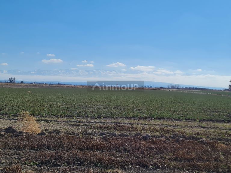 Finca en Venta en Lujan de Cuyo, Mendoza
