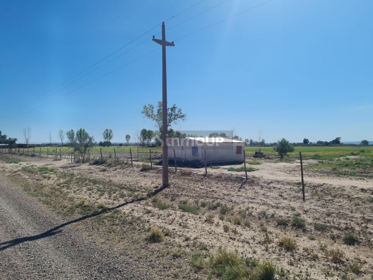 Finca en Venta en Lujan de Cuyo, Mendoza