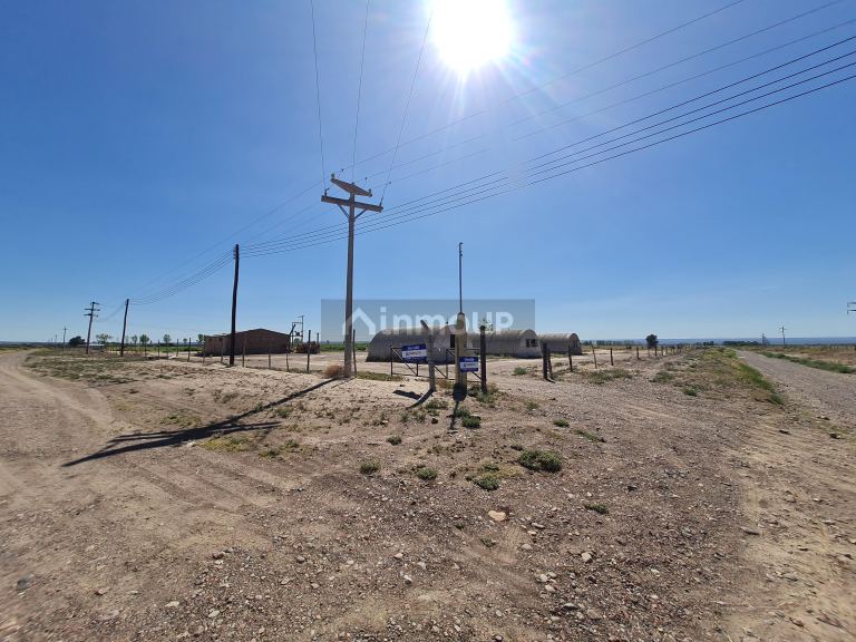 Finca en Venta en Lujan de Cuyo, Mendoza