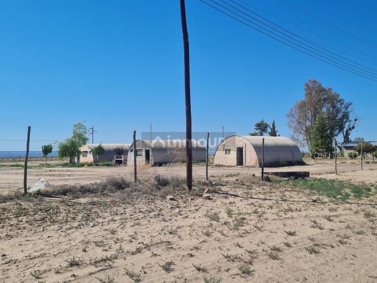 Finca en Venta en Lujan de Cuyo, Mendoza