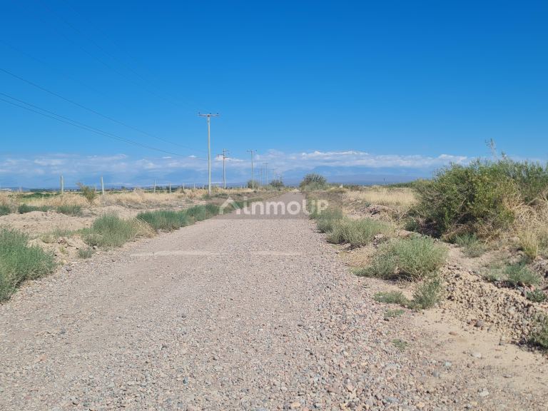 Finca en Venta en Lujan de Cuyo, Mendoza