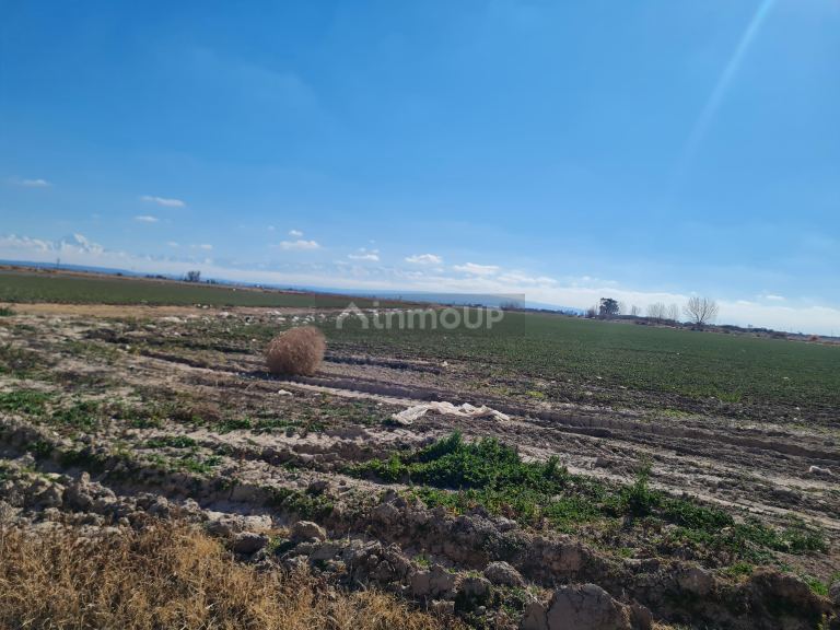 Finca en Venta en Lujan de Cuyo, Mendoza