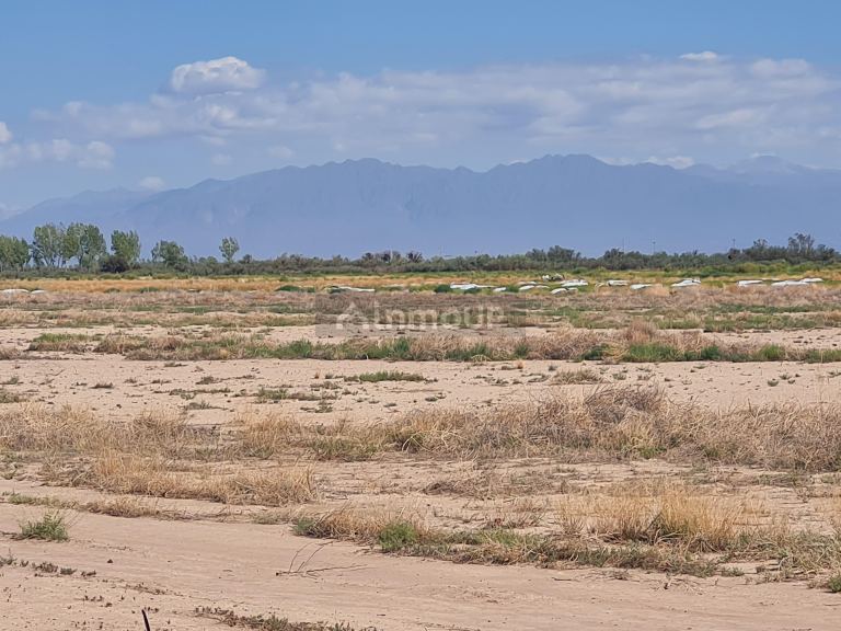 Finca en Venta en Lujan de Cuyo, Mendoza