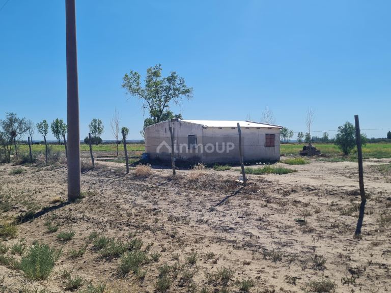 Finca en Venta en Lujan de Cuyo, Mendoza
