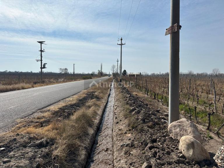 Finca en Venta en San Carlos, Mendoza