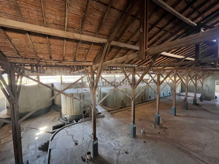 Galpon en Alquiler en Maipu, Mendoza