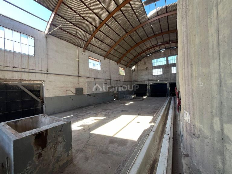Galpon en Alquiler en Maipu, Mendoza