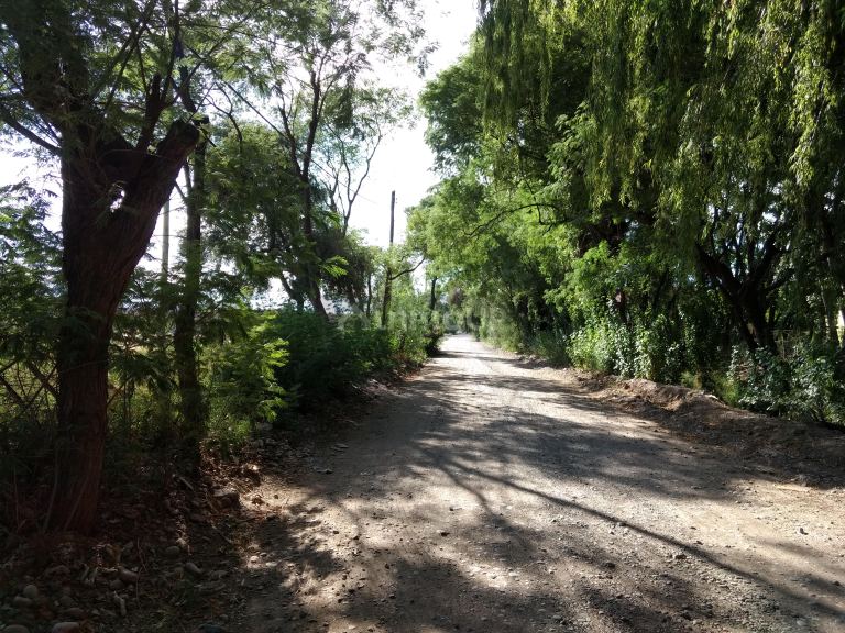 Finca en Venta en Guaymallen, Mendoza