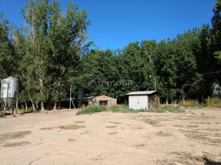 Finca en Venta en Guaymallen, Mendoza
