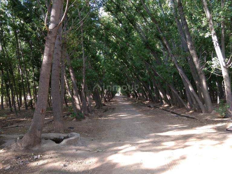 Finca en Venta en Guaymallen, Mendoza