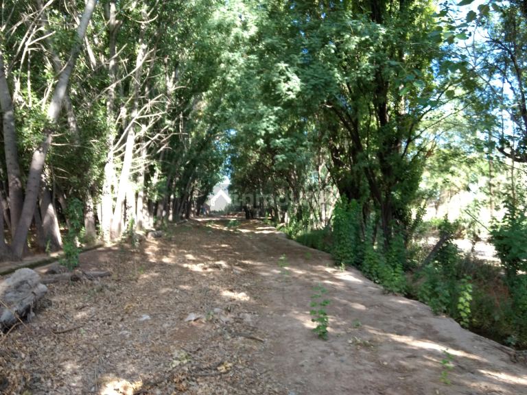 Finca en Venta en Guaymallen, Mendoza