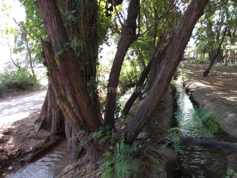 Finca en Venta en Guaymallen, Mendoza