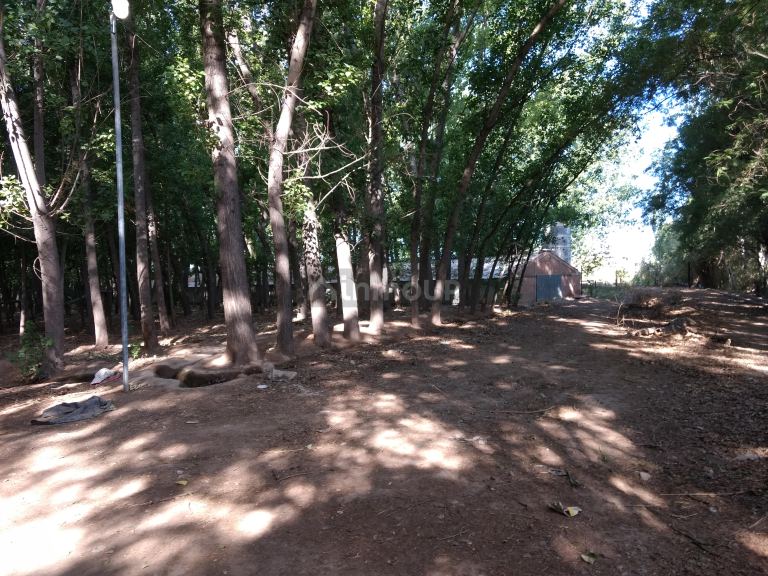 Finca en Venta en Guaymallen, Mendoza