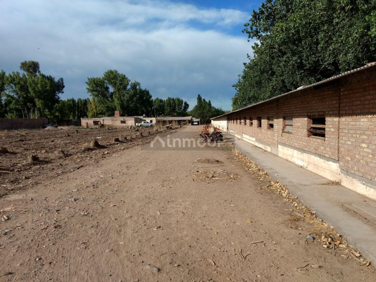 Finca en Venta en Guaymallen, Mendoza
