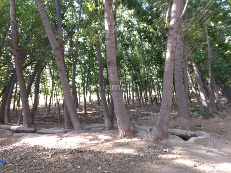 Finca en Venta en Guaymallen, Mendoza