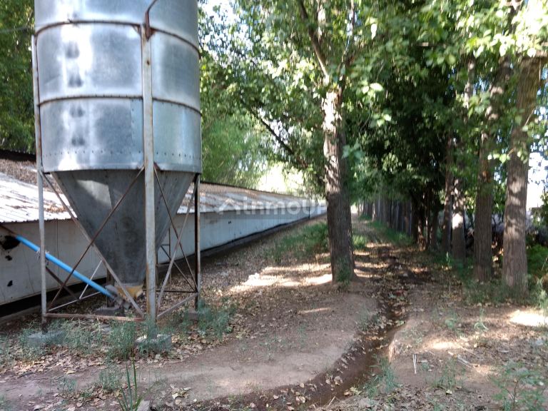 Finca en Venta en Guaymallen, Mendoza
