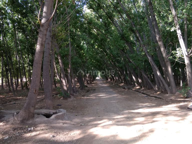 Finca en Venta en Guaymallen, Mendoza