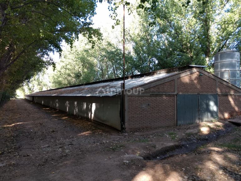 Finca en Venta en Guaymallen, Mendoza
