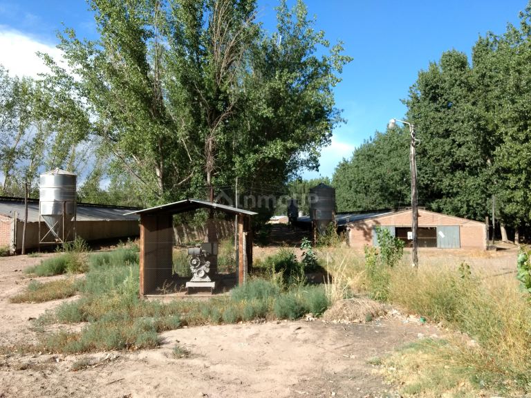 Finca en Venta en Guaymallen, Mendoza