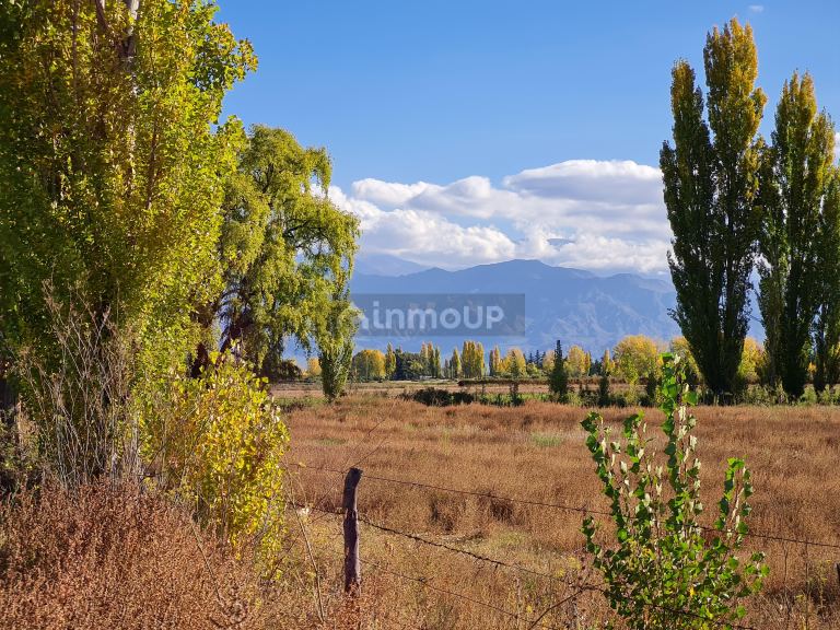 Finca en Venta en San Carlos, Mendoza