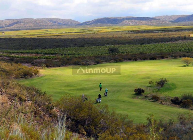 Lote en Venta en Tupungato, Mendoza