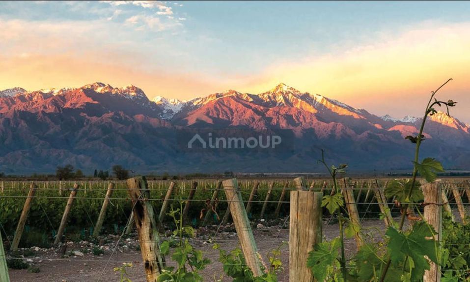 Lote en Venta en Tupungato, Mendoza